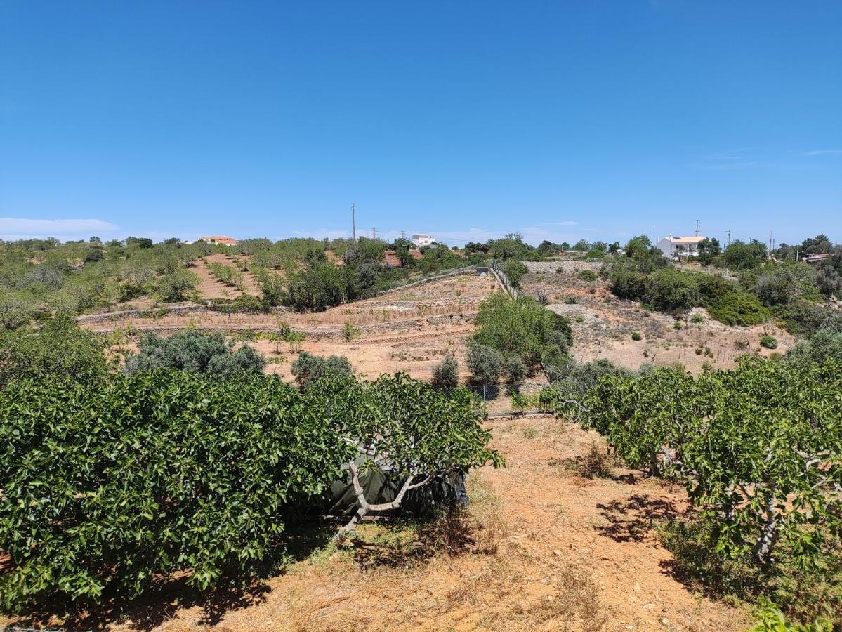 Casa Azul Apartman Albufeira Kültér fotó
